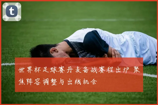 世界杯足球赛丹麦备战赛程出炉 聚焦阵容调整与出线机会