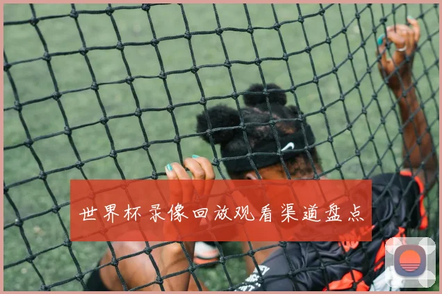 世界杯录像回放观看渠道盘点