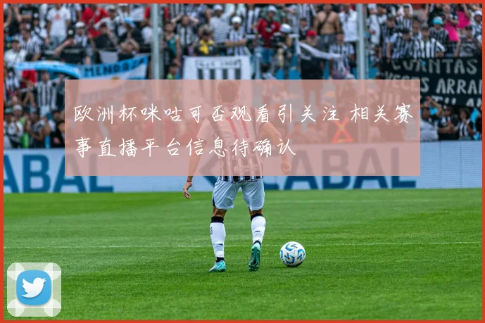 欧洲杯咪咕可否观看引关注 相关赛事直播平台信息待确认