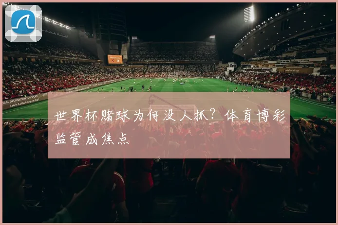 世界杯赌球为何没人抓？体育博彩监管成焦点